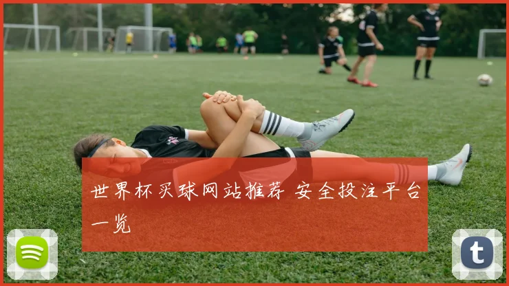 世界杯买球网站推荐 安全投注平台一览