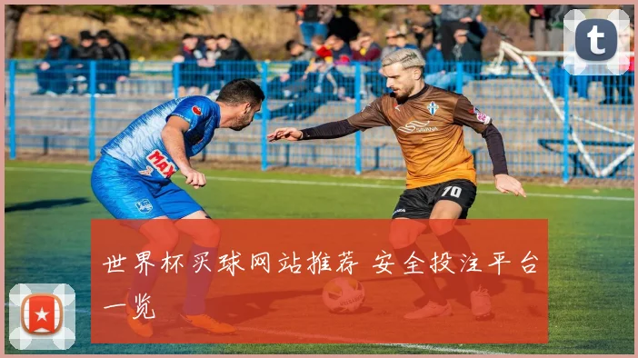 世界杯买球网站推荐 安全投注平台一览